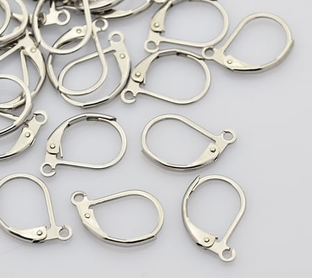 1 paar Roestvrijstalen  oorbelhaakjes