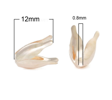 2x Kapjes RoseGold 10 mm