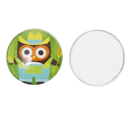 Glazen Cabochon 20 mm Uiltje