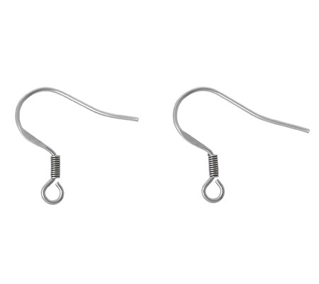 1 paar Roestvrijstalen oorbelhaakjes (304) 19 x 19 mm