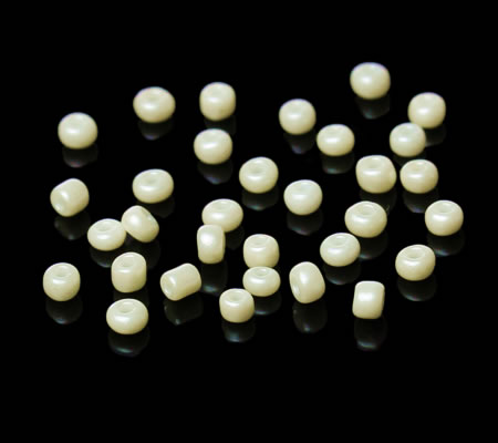 20 gram Rocailles Ivoor