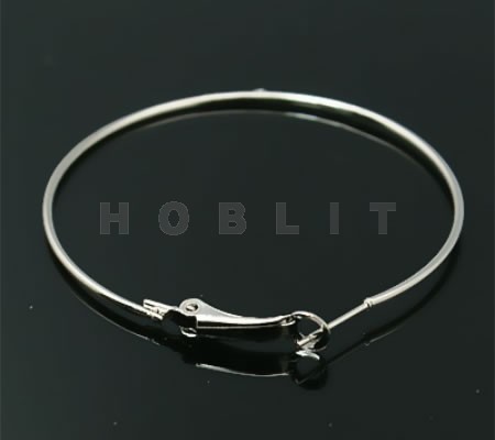 Oorringen Lichtzilver