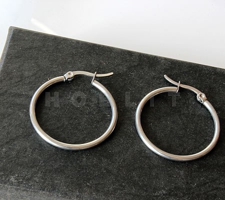 1 Paar Oorringen RVS