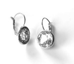 1 Paar oorbelletjes Lichtzilver/Transparant