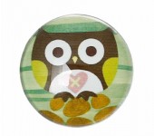 Glazen Cabochon Uiltje grijs 20mm
