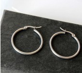 1 Paar Oorringen RVS 29 mm