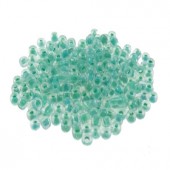 20 gram Rocailles Groen