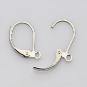 1 paar Roestvrijstalen  oorbelhaakjes