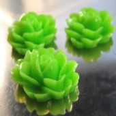 1x roosje donker Lime