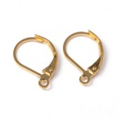 1 Paar oorbelhaakjes Goud 10 x 15 mm