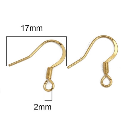 1 Paar oorbelhaakjes RVS oorbelhaakjes (316) Verguld