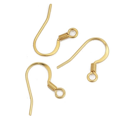 1 Paar oorbelhaakjes RVS oorbelhaakjes (316) Verguld