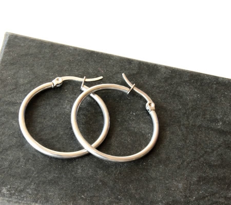 1 Paar Oorringen RVS 29 mm