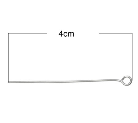 300x Kettelstiften RVS 40 mm